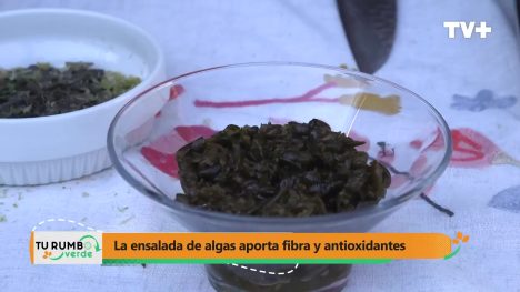 Tu Rumbo Verde | 04 de Junio de 2023