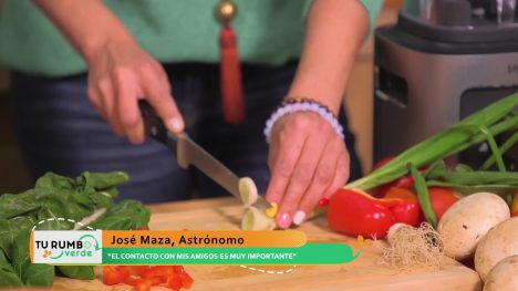 Tu Rumbo Verde | Capítulo 10