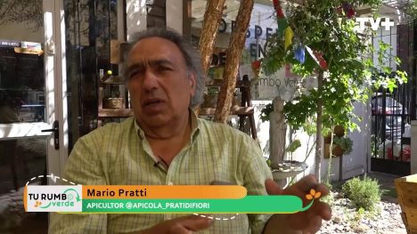 Tu Rumbo Verde | 07 de abril de 2024