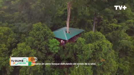 Tu Rumbo Verde | 16 de Junio de 2024