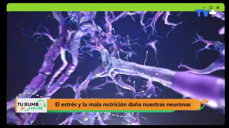 Tu Rumbo Verde | 15 de Septiembre de 2024