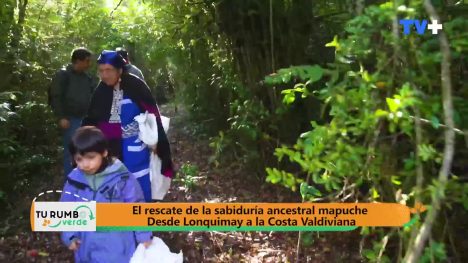 Tu Rumbo Verde | 06 de Octubre de 2024