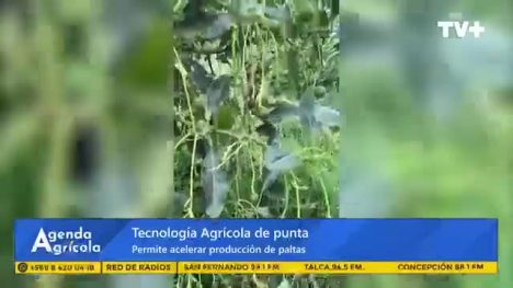 Agenda Agrícola | 02 de Noviembre de 2024