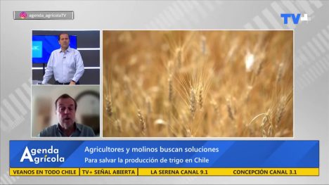 Agenda Agrícola | 08 de Diciembre de 2024