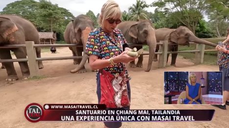 La mágica experiencia de Raquel en un santuario de elefantes