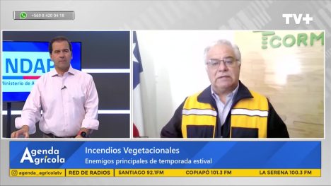 Agenda Agrícola | 15 de Diciembre de 2024