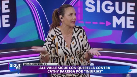 "Hasta cuando usamos los tribunales para estupideces": Dany Aránguiz contra Ale Valle