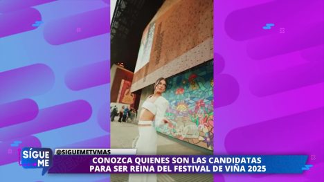 ¿DANY ARÁNGUIZ REINA DE VIÑA?: “La verdad es que…”