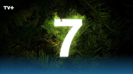 El Misterioso Número 7: Energía, Sabiduría y Destino