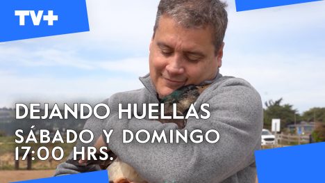 Dejando Huellas | 06 de Abril de 2025