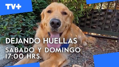 Dejando Huellas | 27 de Abril de 2025