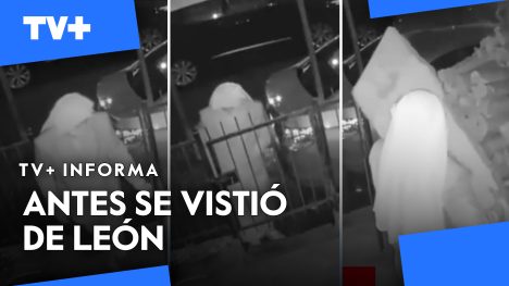 ¡Insólito! Robó disfrazado de monja