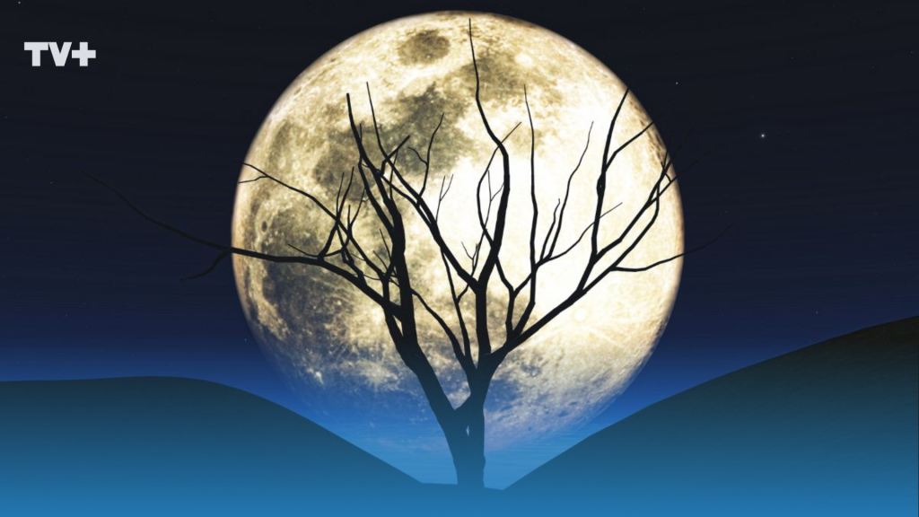 Luna llena en SAGITARIO: rituales para canalizar