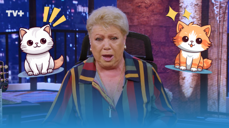 ¡LA VIEJA DE LOS GATOS! Paty llegó a tener 14 gatos