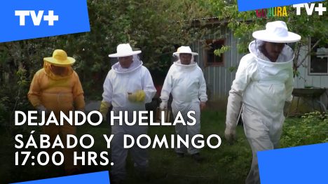 Dejando Huellas | 29 de Junio de 2025
