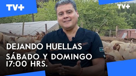 Dejando Huellas | 01 de Junio de 2025