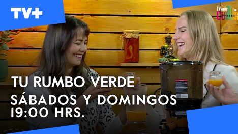 Tu Rumbo Verde | 29 de Junio de 2025