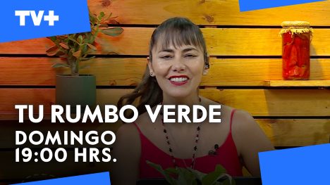 Tu Rumbo Verde | 15 de Junio de 2025
