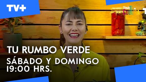 Tu Rumbo Verde | 22 de Junio de 2025