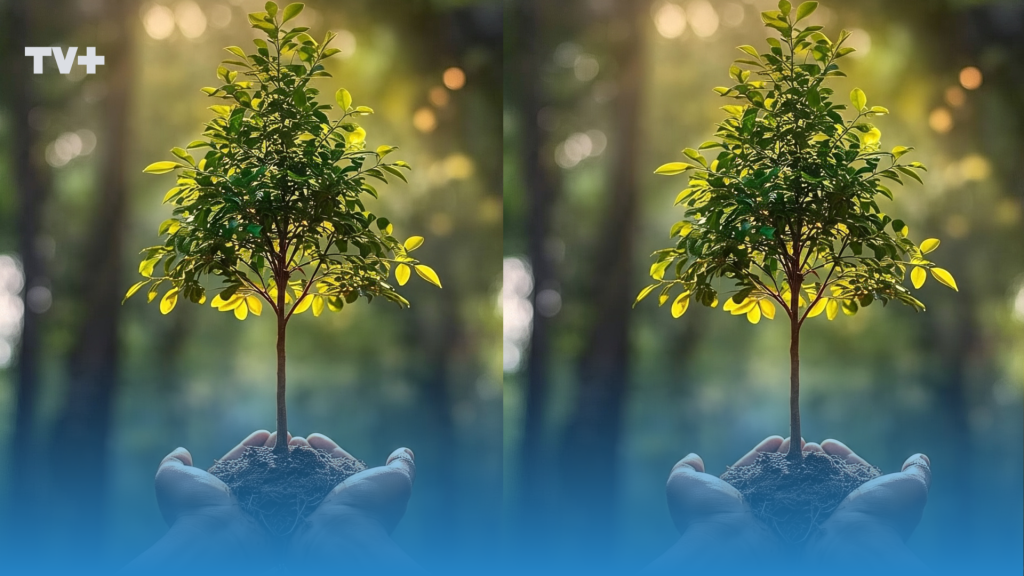 Día del Árbol en Chile: su impacto ambiental y especies en peligro