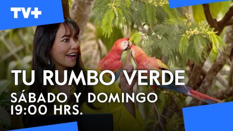 Tu Rumbo Verde | 28 de Septiembre de 2025