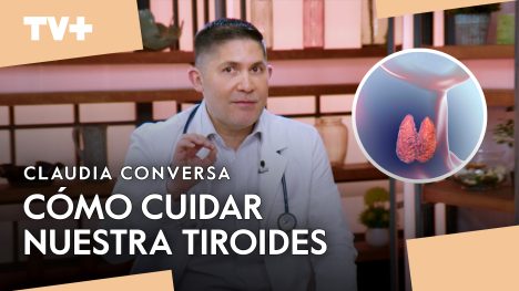 Todo lo que tienes que saber sobre la Tiroides