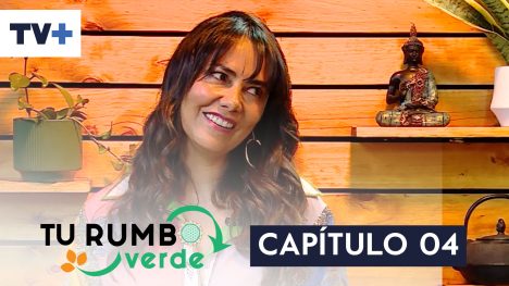 Tu Rumbo Verde | 19 de Octubre 2025