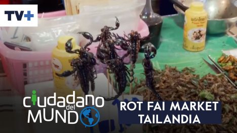 Ciudadano del Mundo | Capítulo 9