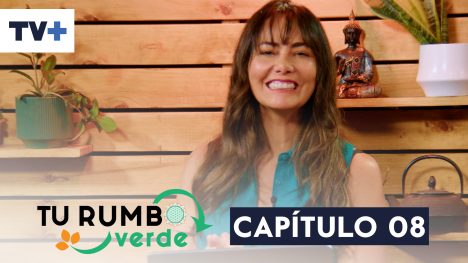 Tu Rumbo Verde | 15 de Noviembre de 2025