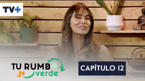 Tu Rumbo Verde | 14 de Diciembre de 2025