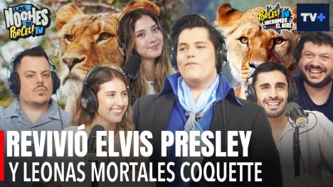 Las Noches de Porcel TV | 08 de enero de 2026