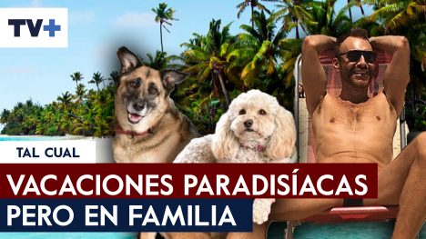 ¡Jordi se va de luna de miel a Brasil!