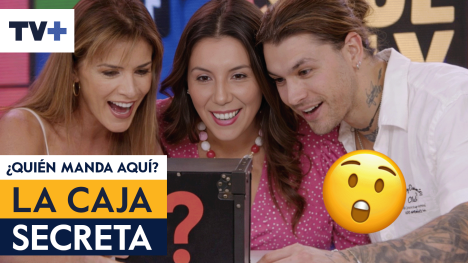 ¿Qué hay en la caja de viña 2026?