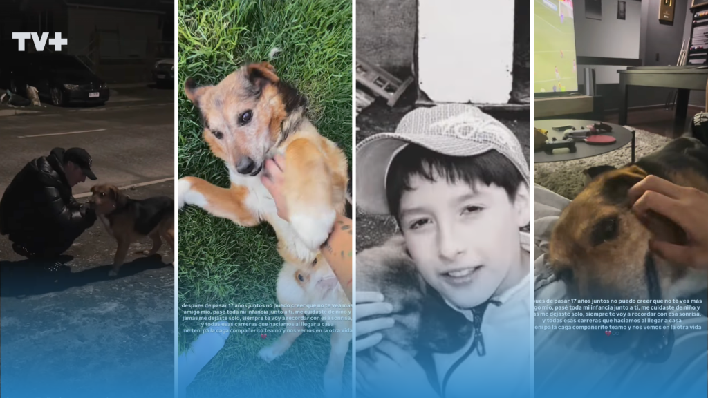 Pailita de luto: cantante urbano compartió emotivo mensaje tras la muerte de su perro