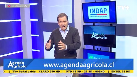 Agenda Agrícola | 19 de Abril de 2026
