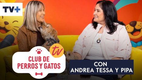 Club de Perros y Gatos | Capítulo 2