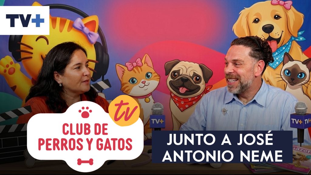 Club de Perros y Gatos | Capítulo 1