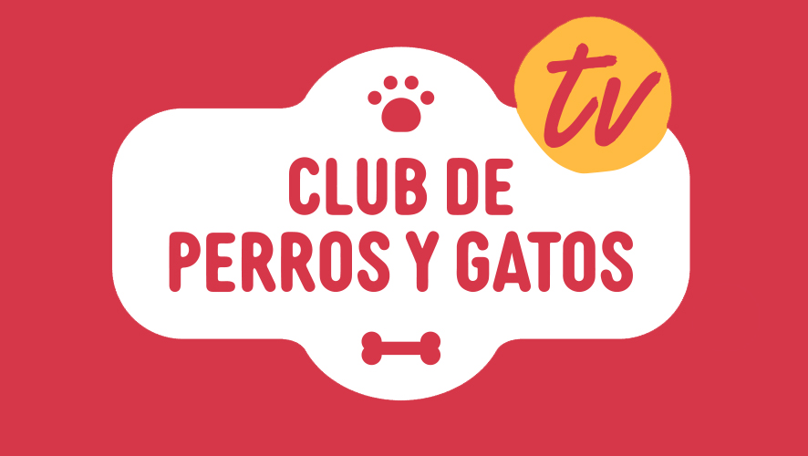 Club de Perros y gatos