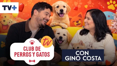 Club de Perros y Gatos | Capítulo 4