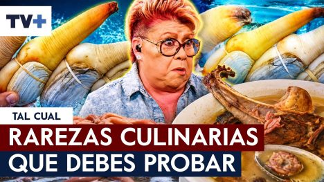 Fauna y gastronomía con Paty