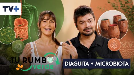 Tu Rumbo Verde | Temporada 8 | Capítulo 2