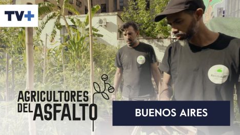 Agricultores del Asfalto | Buenos Aires