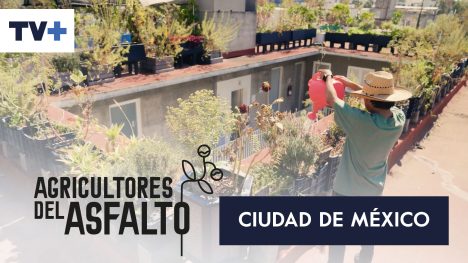 Agricultores del Asfalto | Ciudad de México