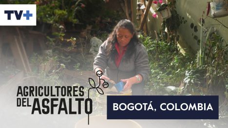 Agricultores del Asfalto | Bogotá, Colombia