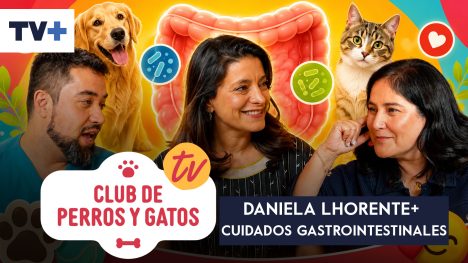 Club de Perros y Gatos | Capítulo 9