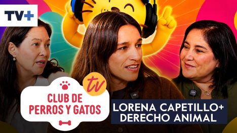 Club de Perros y Gatos | Capítulo 7