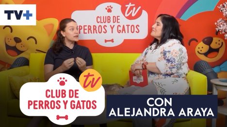 Club de Perros y Gatos | Capítulo 6