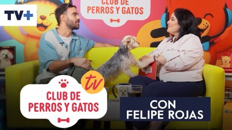 Club de Perros y Gatos | Capítulo 5