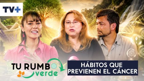 Tu Rumbo Verde | Temporada 8 | Capítulo 6