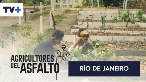 Agricultores del Asfalto | Río de Janeiro